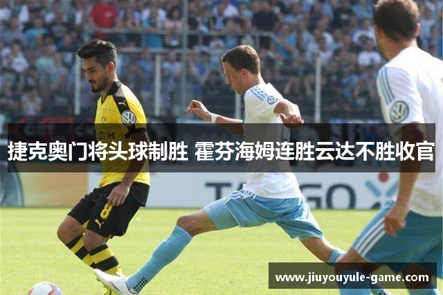 捷克奥门将头球制胜 霍芬海姆连胜云达不胜收官