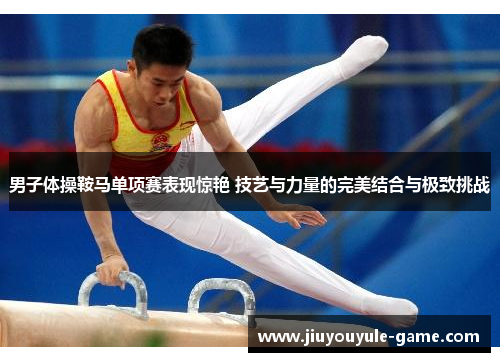 男子体操鞍马单项赛表现惊艳 技艺与力量的完美结合与极致挑战
