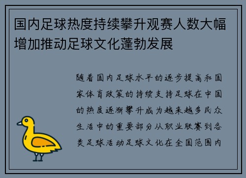 国内足球热度持续攀升观赛人数大幅增加推动足球文化蓬勃发展