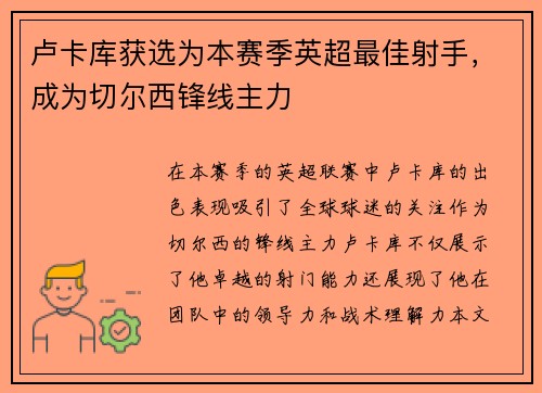 卢卡库获选为本赛季英超最佳射手，成为切尔西锋线主力